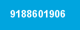 9188601906