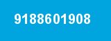 9188601908