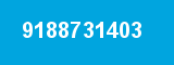 9188731403
