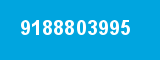 9188803995