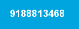9188813468