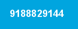 9188829144