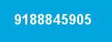 9188845905