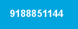 9188851144