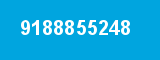 9188855248