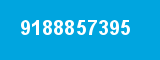 9188857395