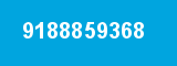 9188859368