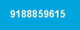 9188859615