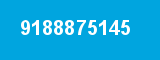 9188875145