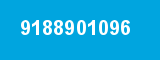 9188901096