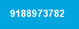 9188973782