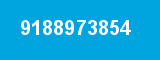 9188973854