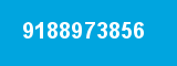 9188973856