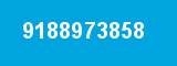 9188973858