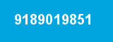 9189019851
