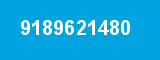 9189621480