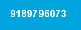 9189796073
