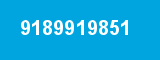 9189919851