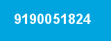 9190051824