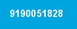 9190051828 9190051828