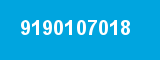 9190107018