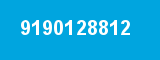 9190128812