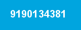 9190134381