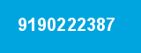 9190222387