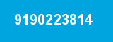 9190223814