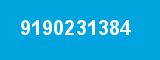 9190231384