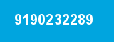 9190232289