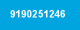 9190251246 9190251246