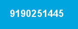 9190251445