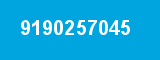 9190257045