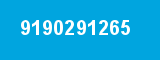 9190291265 9190291265