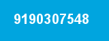 9190307548
