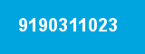 9190311023