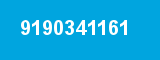 9190341161