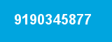 9190345877