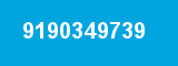 9190349739