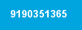 9190351365 9190351365