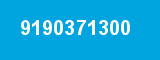 9190371300