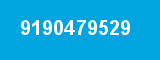 9190479529