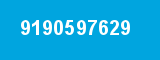 9190597629