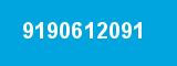 9190612091