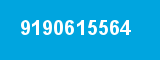 9190615564