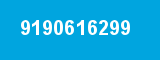 9190616299