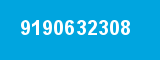 9190632308