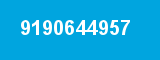 9190644957