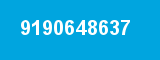 9190648637